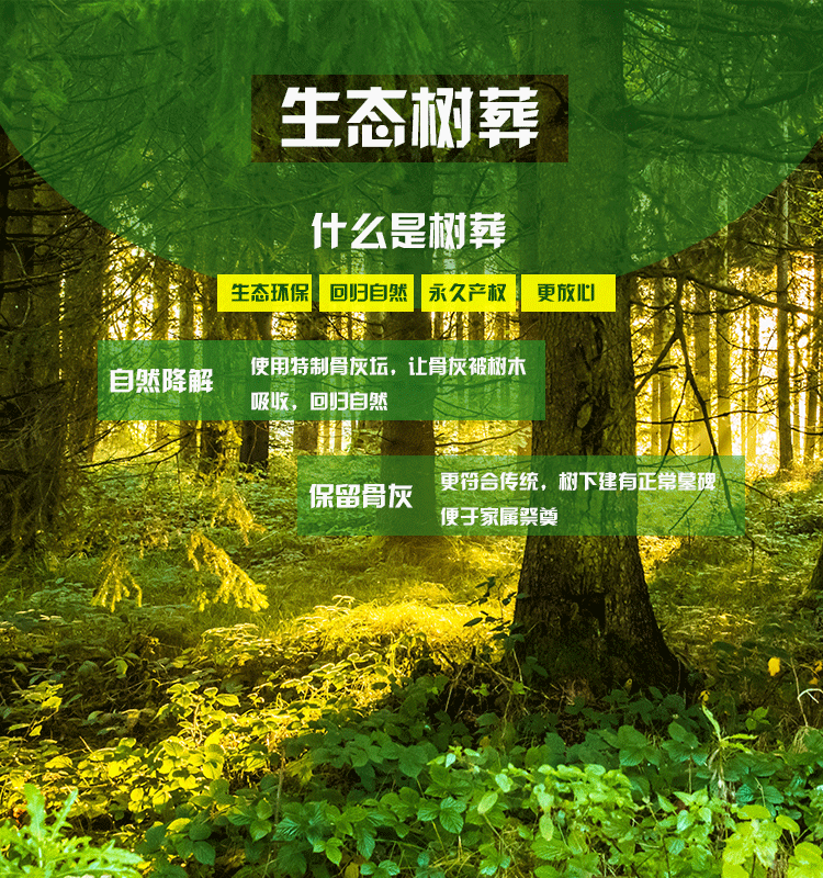 生态树葬