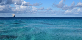 骨灰海撒