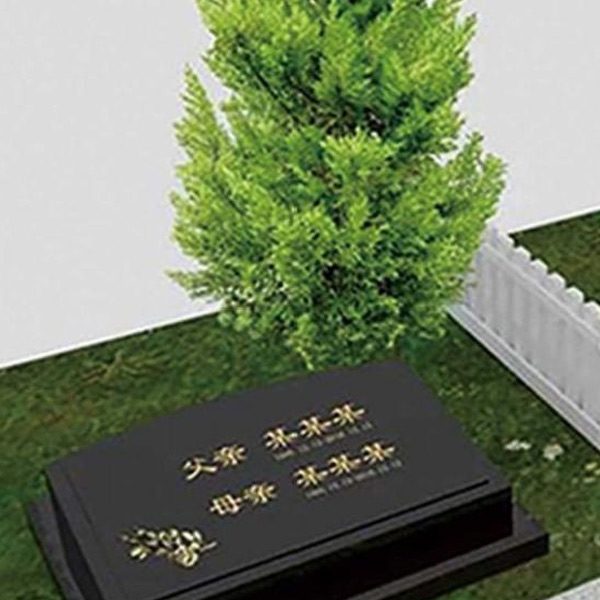 生态树葬
