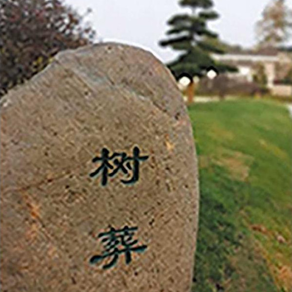 树葬