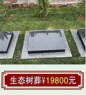 生态树葬